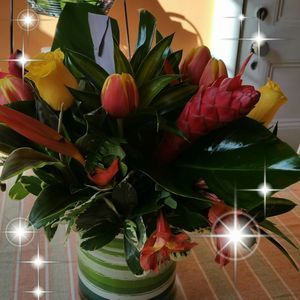 Meet your Posher, Sophie